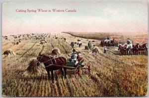Cutting Spring Wheat in Western Canada Farm Machinery 1915 Stedman Postcard H71