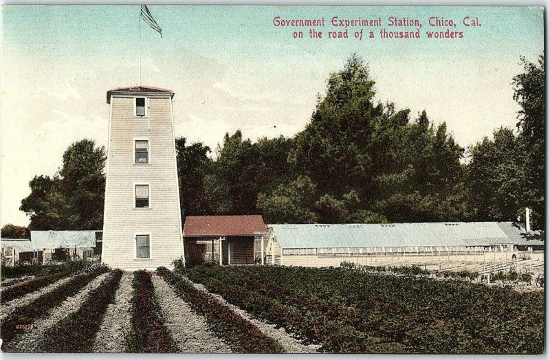 C.1910 Government Experiment Station, Chico, Cal. Hand Colored Postcard P125 