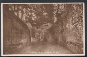 Warwickshire Postcard - Entrance Drive, Warwick Castle    RS17987