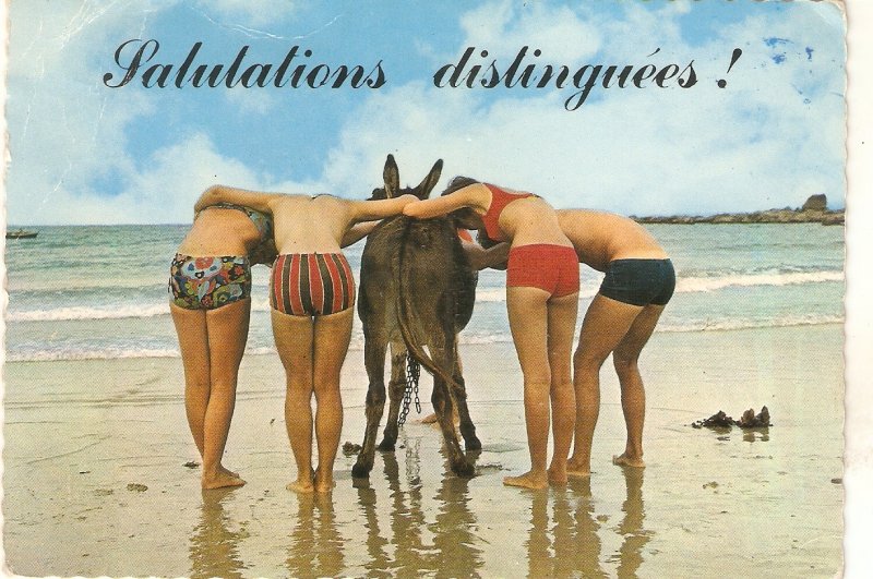 Bathers and donkey. Salutations distinguees!  Modern French PC. Continental si