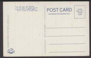 Florida Royal Arch Oak - WB