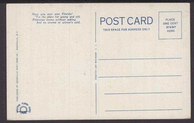 Florida Royal Arch Oak - WB