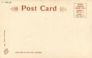 Connecticut River C-1905 View Mt Tom Springfield Massachusetts postcard 8722