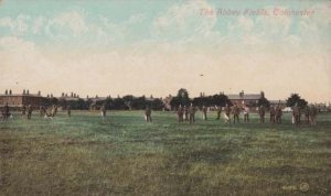 Abbey Fields Colchester Recreation View Park Essex Playing Sports Sport Postcard