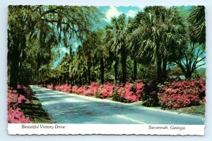 Victory Drive Highway 80 Blooming Flowers Savannah GA Postcard