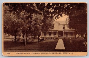 Geneva OH FORGET-ME-NOT Cottage~Boy w/Knees to Chest~Picnic~Porch Rocking Chair