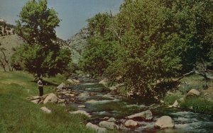 Vintage Postcard Jones Creek 1 Mile Above Where It Joins Green River Vernal Utah