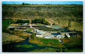 BUHL, ID Idaho ~ SNAKE RIVER TROUT FARM 1965 Twin Falls County Fishing Postcard