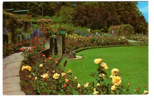 English Rose Garden, Butchart Gardens, Victoria, British Columbia