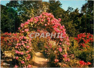 'Modern Postcard L''Hay les Roses (Val de Marne) The Rose Garden'