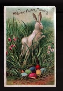 Easter Bunny Embossed Picture Postcard!