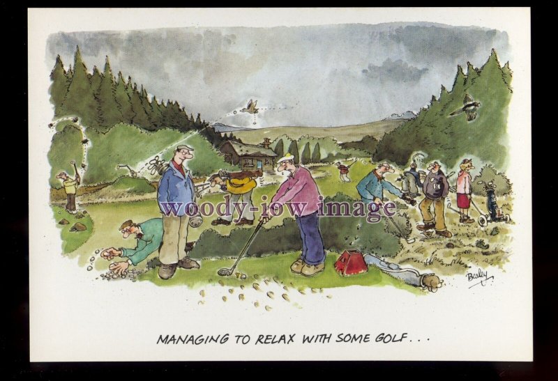 BES046 - Golfcourse - Managing to Relax with some Golf- comic postcard by Besley