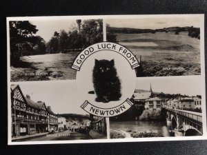 Montgomeryshire: NEWTOWN 5 Picture Multiview c1956 RP