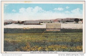 Cuba Pinar Del Rio Tobacco Fields Curteich