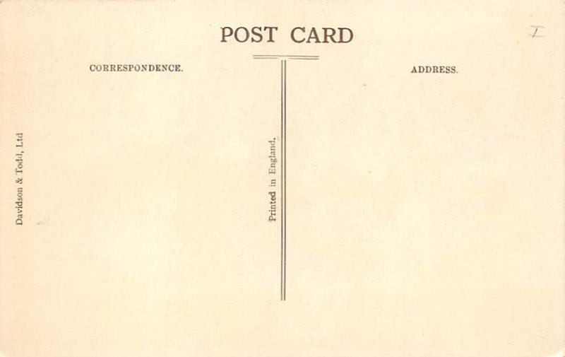 Indian Hut Trinidad Postcard