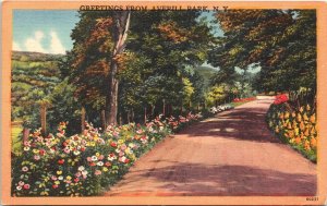 Postcard New York Rensselaer County Greetings from Averill Park LINEN 1940s V210