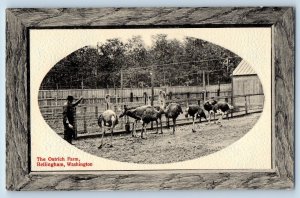 Bellingham Washington Postcard Ostrich Farm Exterior View Embossed c1910 Vintage