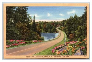 Highway Scene Near Speculator New York NY UNP Linen Postcard S10