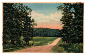 Vintage 1954 Postcard Country Road Trees Greetings From Kentland Indiana