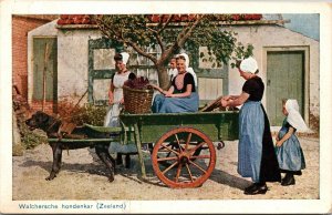 Women in Dog Cart Walchersche Zeeland Netherlands Postcard WB UNP