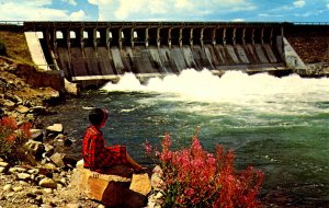 WY - Grand Teton National Park. Jackson Lake Overflow