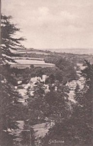 Selborne Hampshire Antique Postcard