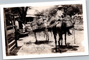 RPPD Villa Acuna Coah in Old Mexico pack mules and rider