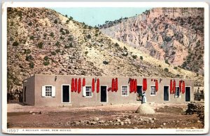 1910's A Mexican Home New Mexico Adobe Huts Rude Bricks Posted Postcard