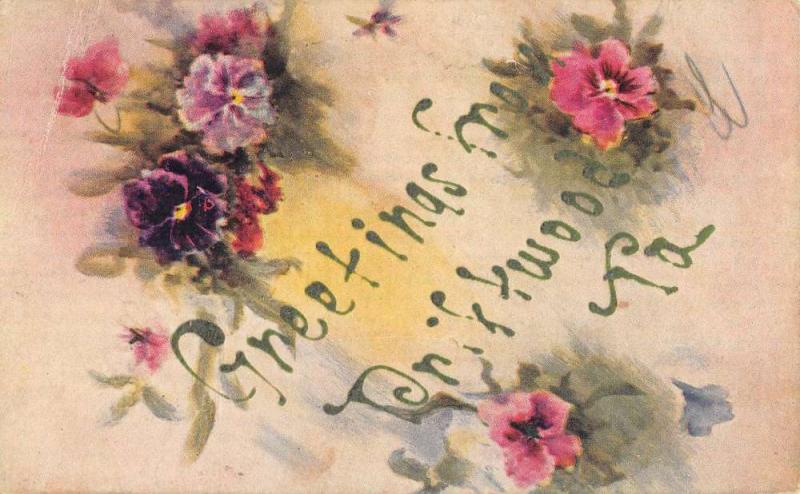 Driftwood Pennsylvania Flower Greeting Antique Postcard K82948