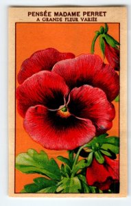1920's Flower Seed Art Print PENSEE MADAME Lithograph Original Vintage Unused