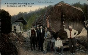 Washington State Men Standing w Huge Log on Train Car c19...
