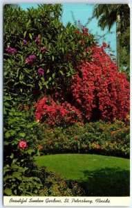 M-56444 Bougainvillea and Princess Flower Sunken Gardens St Petersburg Florida