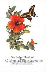 Giant Swallowtail Butterfly & Hibiscus Artist RT Peterson Unused 