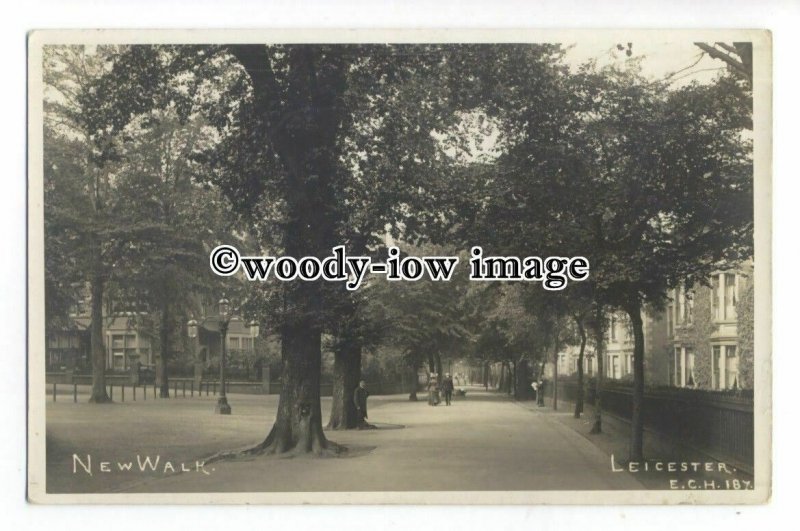 tq2162 - Leics - Early View under Trees along New Walk, in Leicester - Postcard