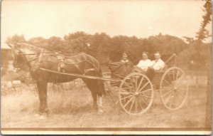Vtg 1910s Couple In Horse Drawn Buggy Carriage Real Photo RPPC Postcard
