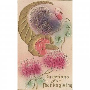 Greetings For Thanksgiving Cornacopia Turkey Flowers Postcard