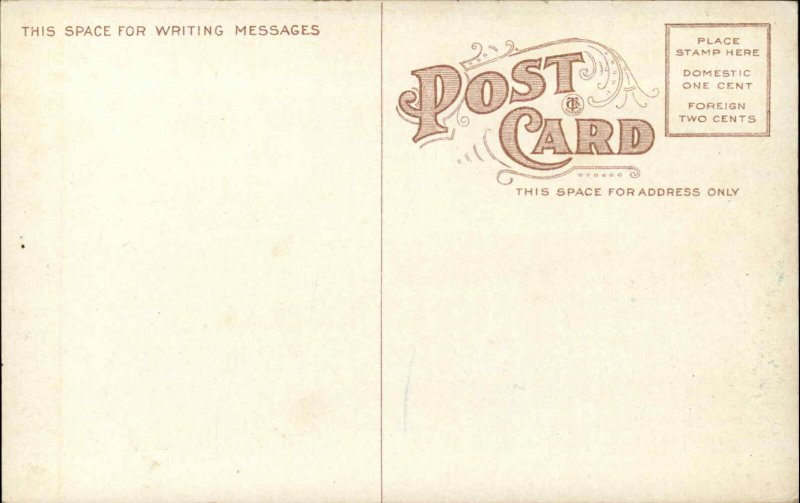 Jackson Mississippi MS Blind Institute c1910 Vintage Postcard