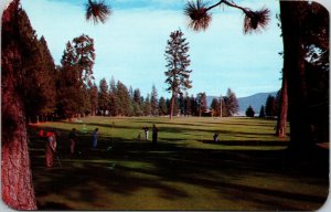 Golf Course Hayden Lake Coeur d'Alene Idaho ID Postcard Ross Hall Studios
