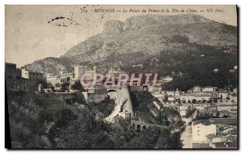 Old Postcard Monaco The Prince's Palace and the Dog Tete