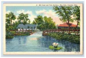 C. 1915-20 Mill Pond Fish Hatchery Blue Hole Castalia Ohio. Postcard F135E