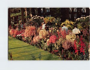 Postcard Flowers In Conservatory, Longwood Gardens, Kennett Square, Pennsylvania