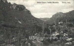 Sabino Canyon - Tucson, Arizona AZ