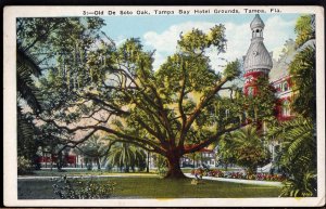 22820) Florida TAMPA Old De Soto Oak Tampa Bay Hotel Grounds - pm1925 - WB