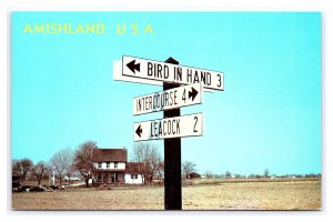 Amishland U.S.A. Road Signs Postcard Bird In Hand Intercourse Leacock PA