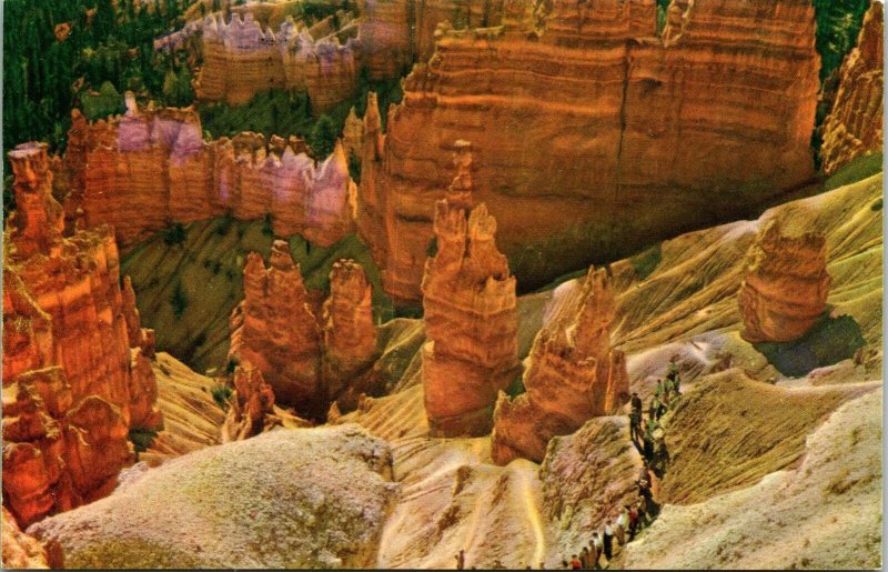 Fantastic Colorful Rock Formations Bryce Canyon National Park Tourist Postcard 