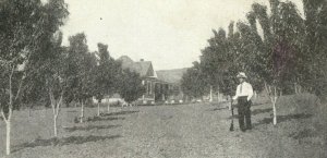 c1910 Man Gun Cherry Orchard Whitman County WA Vintage Postcard P118