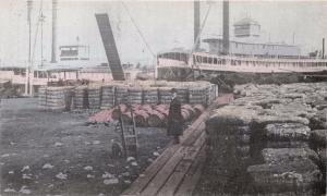 NEW ORLEANS LOUISIANA COTTON WHARF~STEAMER SHIPS POSTCARD 1910s