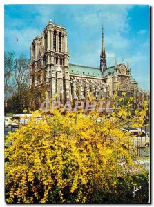 Postcard Modern Colors and Light of Paris France Notre Dame