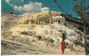 YELLOWSTONE , Minerva Terrace at Mammoth #2, 1950-60s