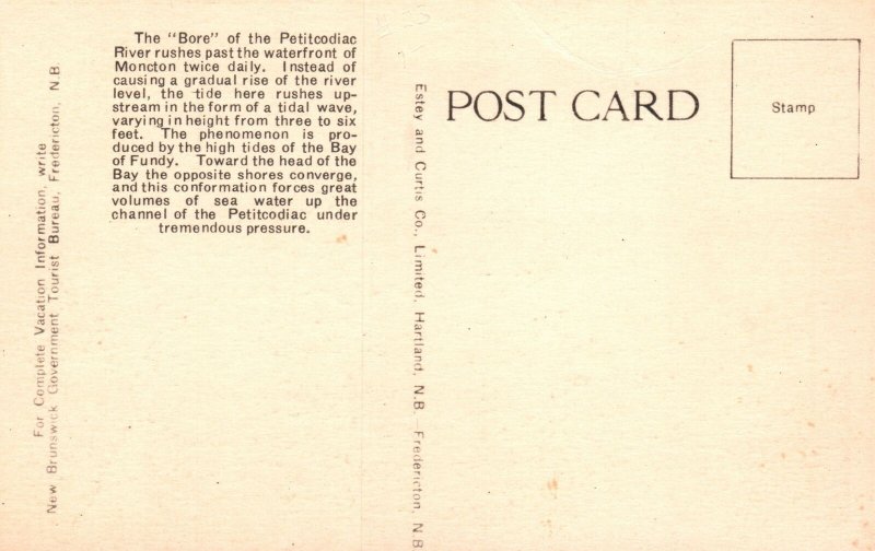 Vintage Postcard 1930's The Bore Petitcodiac River Moncton New Brunswick Canada